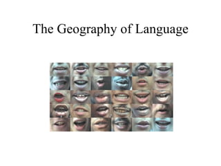 The Geography of Language 