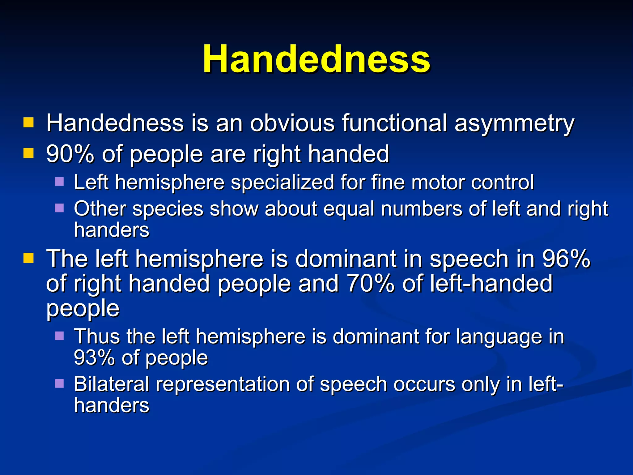 Handedness Handedness is an obvious functional asymmetry 90% of people are right handed Left hemisphere specialized for fine motor control Other species show about equal numbers of left and right handers The left hemisphere is dominant in speech in 96% of right handed people and 70% of left-handed people  Thus the left hemisphere is dominant for language in 93% of people Bilateral representation of speech occurs only in left-handers 