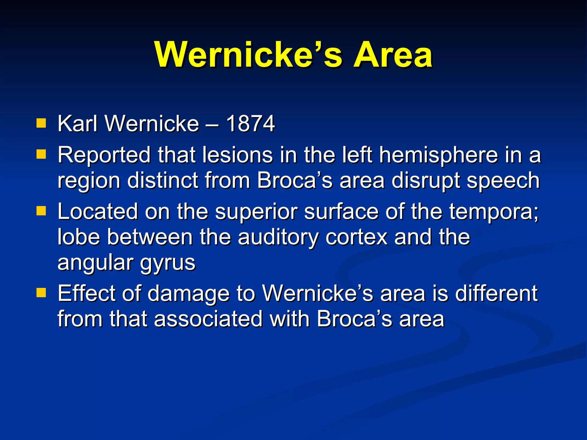 Wernicke’s Area Karl Wernicke – 1874 Reported that lesions in the left hemisphere in a region distinct from Broca’s area disrupt speech Located on the superior surface of the tempora; lobe between the auditory cortex and the angular gyrus Effect of damage to Wernicke’s area is different from that associated with Broca’s area 