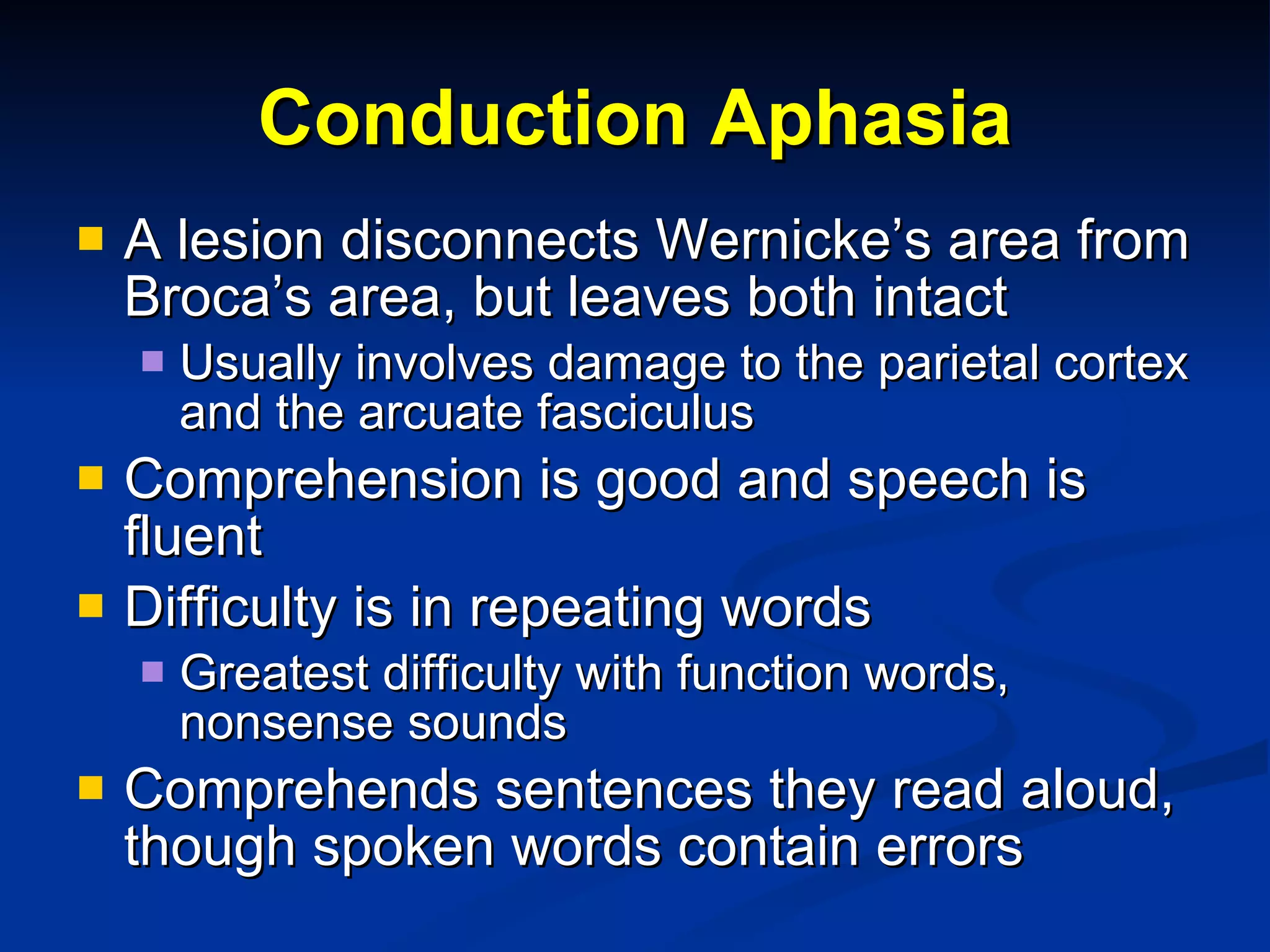 Conduction Aphasia A lesion disconnects Wernicke’s area from Broca’s area, but leaves both intact Usually involves damage to the parietal cortex and the arcuate fasciculus Comprehension is good and speech is fluent Difficulty is in repeating words Greatest difficulty with function words, nonsense sounds Comprehends sentences they read aloud, though spoken words contain errors 