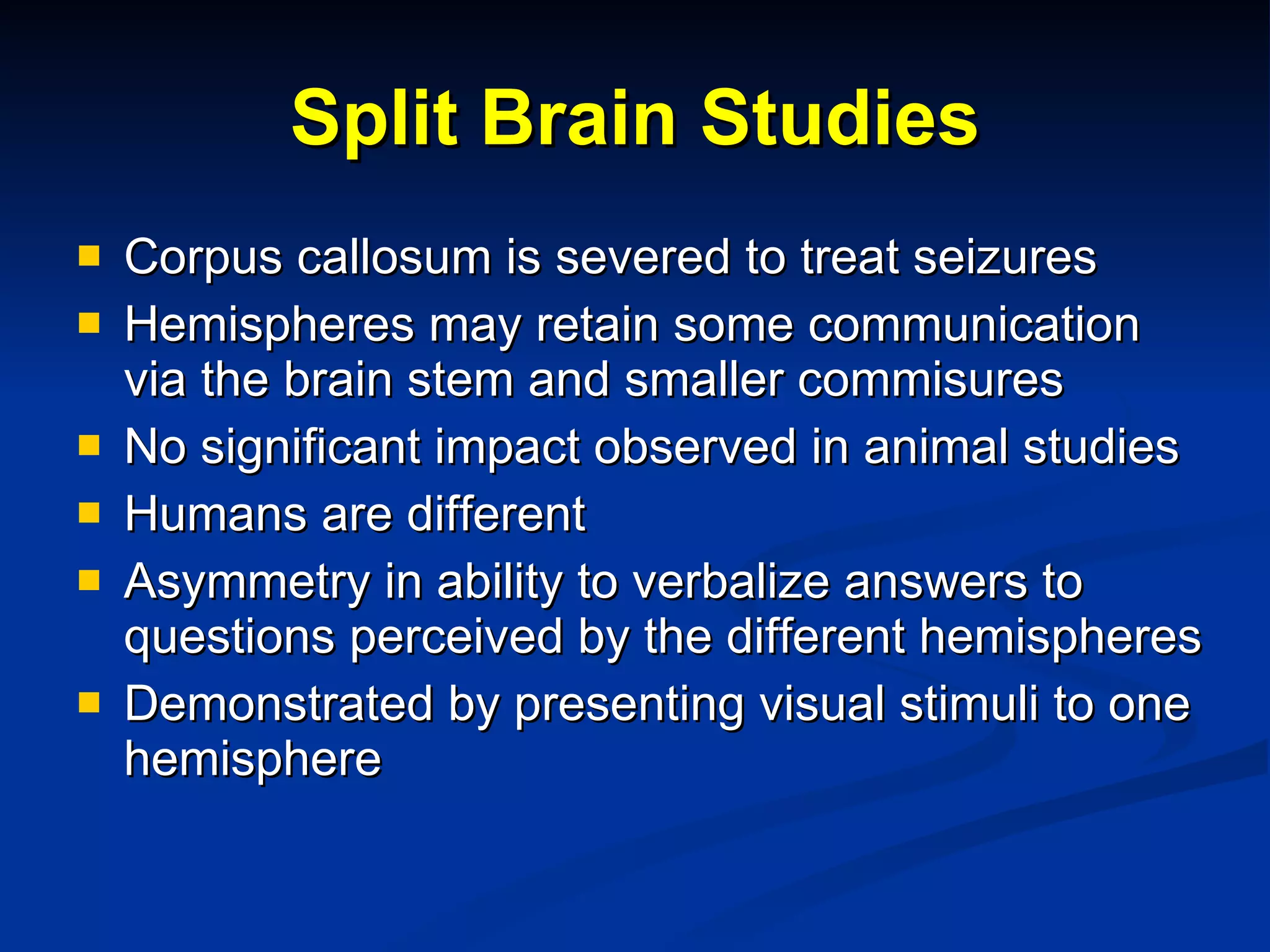 Split Brain Studies Corpus callosum is severed to treat seizures Hemispheres may retain some communication via the brain stem and smaller commisures No significant impact observed in animal studies Humans are different Asymmetry in ability to verbalize answers to questions perceived by the different hemispheres Demonstrated by presenting visual stimuli to one hemisphere 
