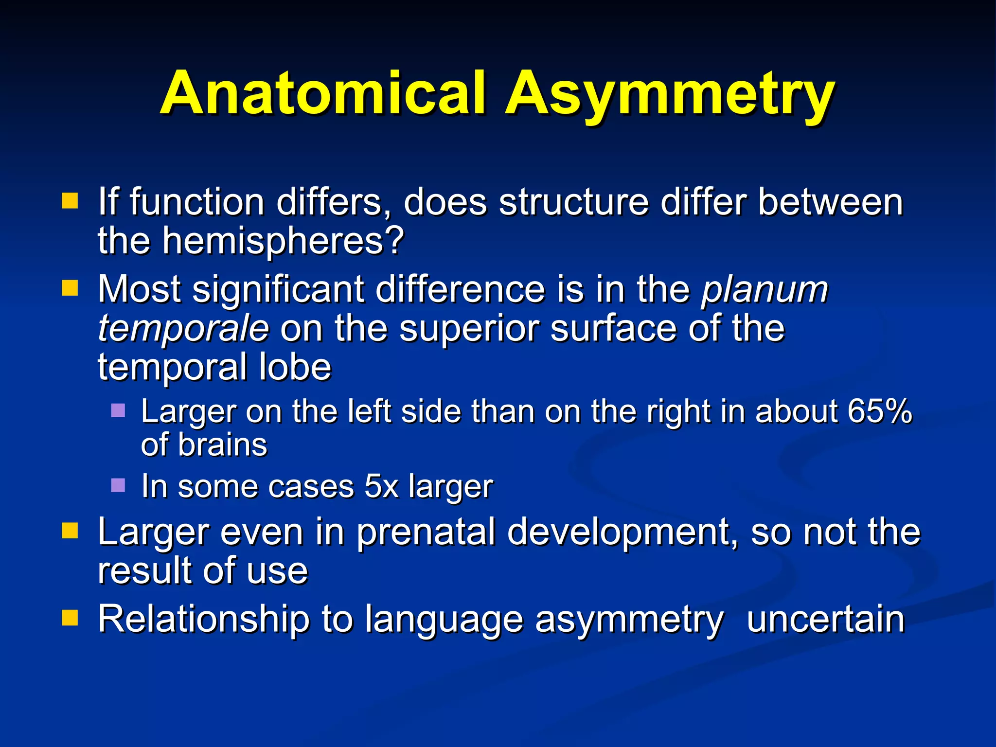 Anatomical Asymmetry If function differs, does structure differ between the hemispheres? Most significant difference is in the  planum temporale  on the superior surface of the temporal lobe Larger on the left side than on the right in about 65% of brains In some cases 5x larger Larger even in prenatal development, so not the result of use Relationship to language asymmetry  uncertain 