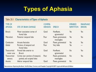 Types of Aphasia 
