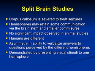Split Brain Studies Corpus callosum is severed to treat seizures Hemispheres may retain some communication via the brain stem and smaller commisures No significant impact observed in animal studies Humans are different Asymmetry in ability to verbalize answers to questions perceived by the different hemispheres Demonstrated by presenting visual stimuli to one hemisphere 