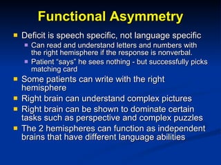 Functional Asymmetry Deficit is speech specific, not language specific Can read and understand letters and numbers with the right hemisphere if the response is nonverbal. Patient “says” he sees nothing - but successfully picks matching card Some patients can write with the right hemisphere Right brain can understand complex pictures Right brain can be shown to dominate certain tasks such as perspective and complex puzzles The 2 hemispheres can function as independent brains that have different language abilities 