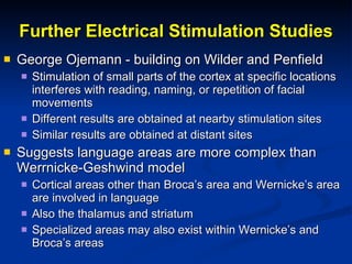 Further Electrical Stimulation Studies George Ojemann - building on Wilder and Penfield Stimulation of small parts of the cortex at specific locations interferes with reading, naming, or repetition of facial movements Different results are obtained at nearby stimulation sites Similar results are obtained at distant sites Suggests language areas are more complex than Werrnicke-Geshwind model Cortical areas other than Broca’s area and Wernicke’s area are involved in language Also the thalamus and striatum Specialized areas may also exist within Wernicke’s and Broca’s areas 