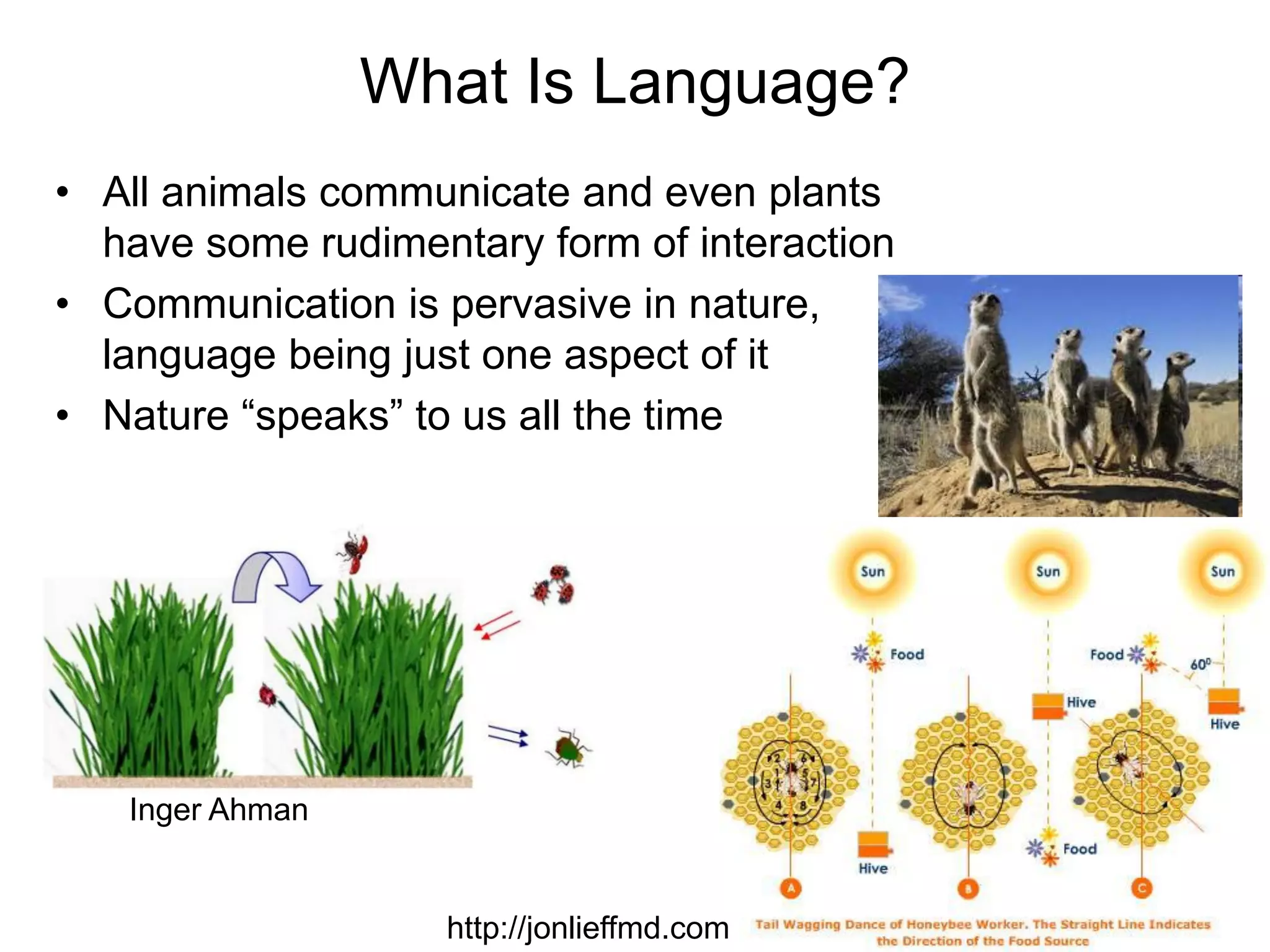 5
Introduction to Language
• Why is translation so difficult?
A sample translation done by Google
of one of my music bios:
“The hesitation of the record , rightly
frightened by the ideas of the complex
, had been won when Zappa and
Cohen had shown that of that music ,
innovative and unusual as you want,
direct Yow mainly to an audience of
intellectuals stragglers , was also
exciting for weirdness and comicita` ,
for ease and panache . “
 