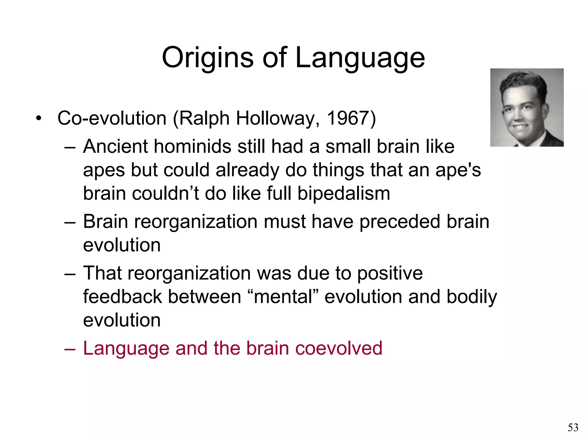 53
Other Grammars
• Yehoshua Bar-Hillel’s categorial grammar (1953)
• Richard Montague's intensional semantics (1974)
• Gerald Gazdar ‘s generalized phrase-structure
grammar“, based on Intensional Logic (1985)
• Ronald Langacker's cognitive grammar (1986)
– Phonology and semantics, mediated by syntax
– Cognitive units are created by experience and
used as wholes
• Gilles Fauconnier's mental spaces (1994)
– We construct mental spaces as we speak
– Mental spaces allow for alternative views of the
world
• George Lakoff's cognitive linguistics (1994): language
is grounded in our bodily experience
 