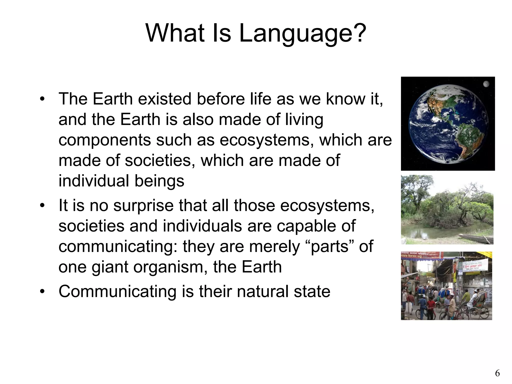 6
Introduction to Language
• And why do we need translators in the first place? Is
there any other animal that needs translators?
Fred Schodt, translator of books on Miyazaki
 