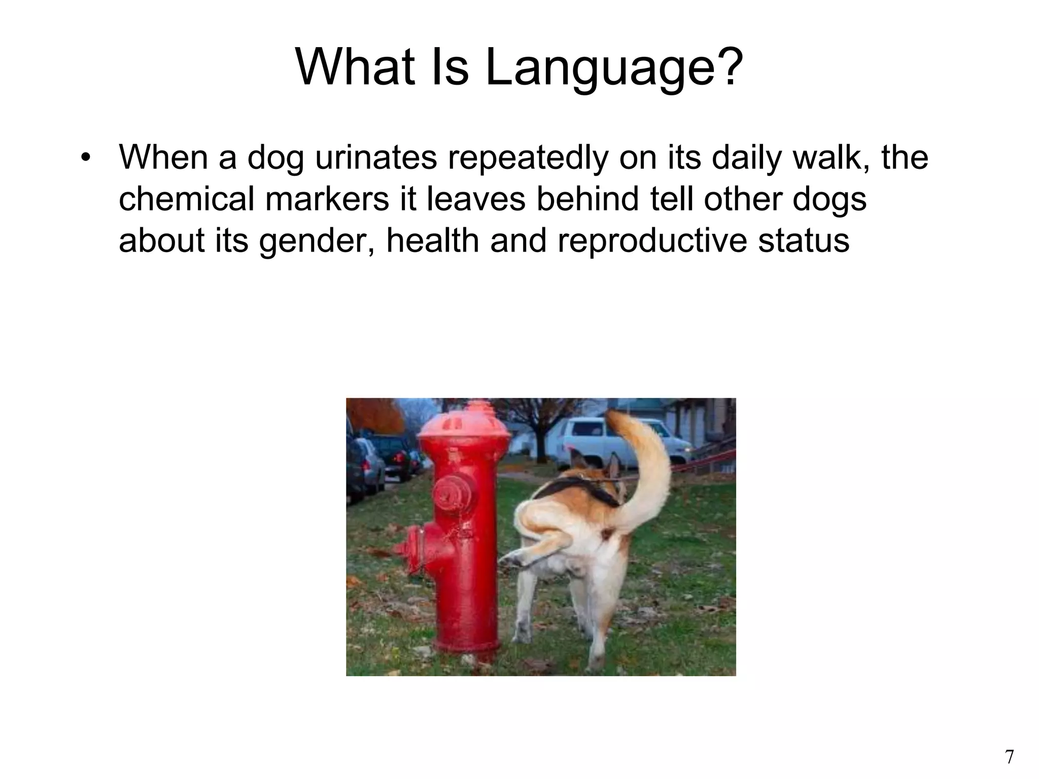 7
Introduction to Language
 