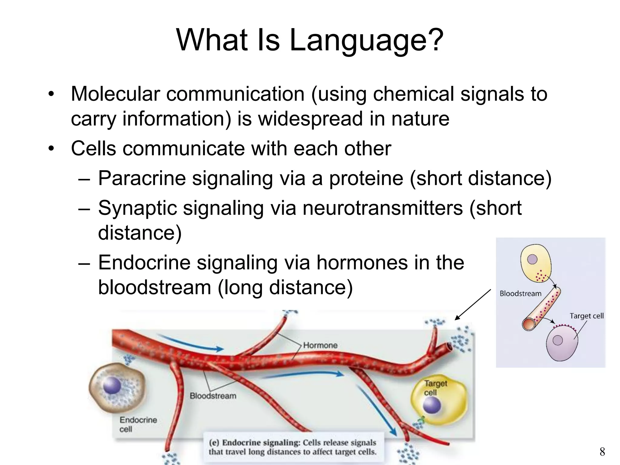8
Introduction to Language
• 0: Like all symbols it refers to something, but in this
case it refers to nothing.
The second oldest extant
representation of zero: the number 270
etched in a Gwalior temple (9th c)
Inscription K-127, from Sambor on Mekong,
the oldest extant representation of zero: the
number 605 etched on a Khmer stele (7th c)
 