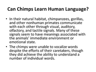 Can Chimps Learn Human Language?
• In their natural habitat, chimpanzees, gorillas,
and other nonhuman primates communicate
with each other through visual, auditory,
olfactory, and tactile signals. Many of these
signals seem to have meanings associated with
the animals’ immediate environment or
emotional state.
• The chimps were unable to vocalize words
despite the efforts of their caretakers, though
they did achieve the ability to understand a
number of individual words.
 