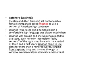 • Gardner’s (Washoe):
• (Beatrix and Allen Gardner) set out to teach a
female chimpanzee called Washoe to use a
version of American Sign Language.
• Washoe was raised like a human child in a
comfortable Sign language was always used when
• Washoe was around and she was encouraged to
use signs, even her own incomplete “baby
versions” of the signs used by adults. In a period
of three and a half years, Washoe came to use
signs for more than a hundred words, ranging
from airplane, baby and banana through to
window, woman and you.domestic environment.
 