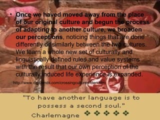 Once we haved moved away from the place of our original culture and begun the process of adapting to another culture, we broaden our perceptions , noticing things that are done differently or similarly between the two cultures. We learn a whole new set of culturally and linguistically defined rules and value systems with the result that our own perception of the culturally induced life experience is expanded.  http://www.digitrends.com/crossingcultures/iden.htm 