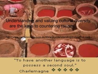 Understanding and valuing cultural diversity are the keys to countering racism.  http://www.racismnoway.com.au/library/understanding/index-The.html 