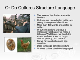 Or Do Cultures Structure Language The Nuer  of the Sudan are cattle herders Children are named after  cattle, and poetry is composed about them More than 400 words are related to cattle In our own culture, we have a militaristic vocabulary; we make a killing on Wall Street, we bomb the exam, we have a war on drugs, cancer, poverty, you name it So we have a chicken and egg question Does language condition culture Or does culture condition language?   