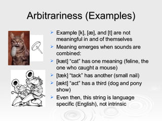Arbitrariness (Examples) Example [k], [æ], and [t] are not meaningful in and of themselves Meaning emerges when sounds are combined: [kæt] “cat” has one meaning (feline, the one who caught a mouse) [tæk] “tack” has another (small nail) [ækt] “act” has a third (dog and pony show) Even then, this string is language specific (English), not intrinsic 