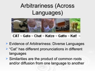 Arbitrariness (Across Languages) Evidence of Arbitrariness: Diverse Languages “ Cat” has different pronunciations in different languages Similarities are the product of common roots and/or diffusion from one language to another 