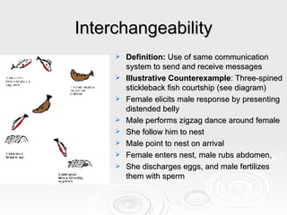 Interchangeability Definition:  Use of same communication system to send and receive messages Illustrative Counterexample : Three-spined stickleback fish courtship (see diagram) Female elicits male response by presenting distended belly Male performs zigzag dance around female She follow him to nest Male point to nest on arrival Female enters nest, male rubs abdomen,  She discharges eggs, and male fertilizes them with sperm 