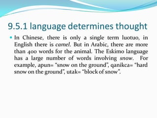 9.5.1 language determines thought
 In Chinese, there is only a single term luotuo, in
English there is camel. But in Arabic, there are more
than 400 words for the animal. The Eskimo language
has a large number of words involving snow. For
example, apun= “snow on the ground”, qanikca= “hard
snow on the ground”, utak= “block of snow”.
 