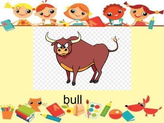bull