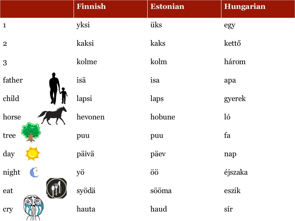 Hungarian Language
