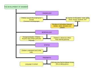 THE DEVELOPMENT OF GRAMMAR
PHONOLOGY
SYNTAX
PRAGMATIC
MORPHOLOGY
Children acquire the small set of
sounds
Common to all languages
Overgeneralization. Children
Acquire rules of their particular
language
Children understand word order
rules.
Language in context
By manner of articulation: nasal, glides
Stops, liquids, fricatives, and
africates.
Children’s utterances reflect
Their internal grammar.
Child assumes that his listener knows
Who is talking about.
By place of articulation features:
Labials, velars, alveolars and
palatals
 