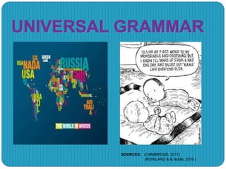 SOURCES: (CAMBRIDGE, 2011)
(ROWLAND & & Noble, 2010 )
 