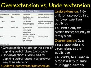 Overextension vs. Underextension
• Underextension: 1.5y
children use words in a
narrower way than
adults do
i.e., bottle only for
plastic bottle; cat only to
family’s cat
• Overextension: 2y a
single label refers to
circumstances that
adults use
i.e., daddy to all men in
a room & kitty to small
four-legged animals
• Overextension: a term for the error of
applying verbal labels too broadly
• Underextention: a term used for
applying verbal labels in a narrower
way than adults do
• Children learn words from contexts
 