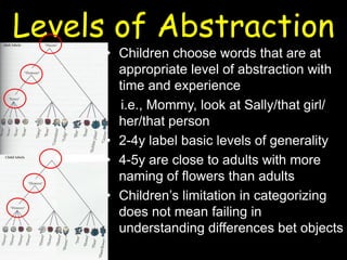 Levels of Abstraction
• Children choose words that are at
appropriate level of abstraction with
time and experience
i.e., Mommy, look at Sally/that girl/
her/that person
• 2-4y label basic levels of generality
• 4-5y are close to adults with more
naming of flowers than adults
• Children’s limitation in categorizing
does not mean failing in
understanding differences bet objects
 
