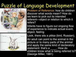 Puzzle of Language Development
• Problem of Reference: how do children
discover what words mean? How do
we learn to pick out its intended
referent---object or relation to which it
refers?
• Infants have to figure out ongoing flow
of experience to indicate actual event,
object, feeling
• Look, there sits a ptitsa (bird, Russian).
• An adult can point to the animal in the
picture or to many parts of the animal
and apply the same kind of declaratory
statement: that’s a ____. How do
children know what is being referred to?
(George Miller, 1991)
 