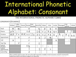 International Phonetic
Alphabet: Consonant
 