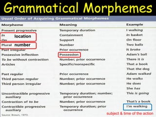 Grammatical Morphemes
location
number
subject & time of the action
 