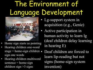 The Environment of
Language Development
• Lg-support system in
acquisition (e.g., Genie)
• Active participation in
human activity to learn lg
(deaf children delay learning
in hearing E)
• Deaf children are forced to
learn lip-reading but not
signs (home-sign system
invention)
• Home sign starts as pointing
• Hearing children one-word
stage = home-sign children
sign one words
• Hearing children multiword
sentence = home-sign
children sign >3 signs
 
