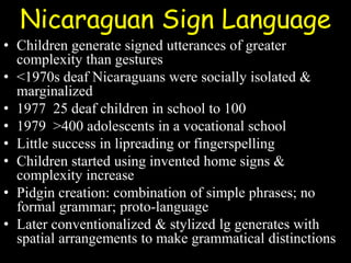 Nicaraguan Sign Language
• Children generate signed utterances of greater
complexity than gestures
• <1970s deaf Nicaraguans were socially isolated &
marginalized
• 1977 25 deaf children in school to 100
• 1979 >400 adolescents in a vocational school
• Little success in lipreading or fingerspelling
• Children started using invented home signs &
complexity increase
• Pidgin creation: combination of simple phrases; no
formal grammar; proto-language
• Later conventionalized & stylized lg generates with
spatial arrangements to make grammatical distinctions
 