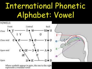 International Phonetic
Alphabet: Vowel
 