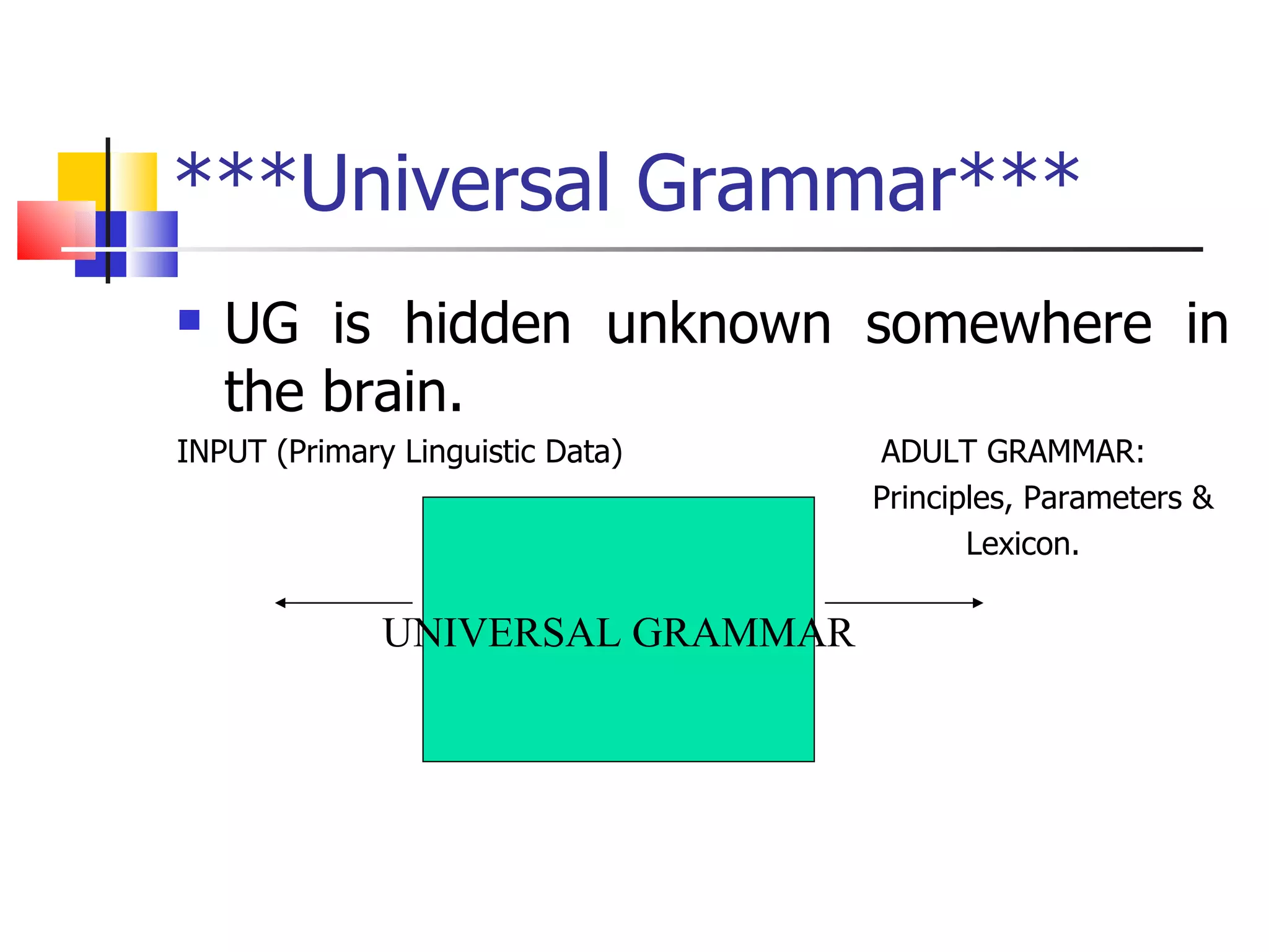 ***Universal Grammar*** UG is hidden unknown somewhere in the brain. INPUT (Primary Linguistic Data)  ADULT GRAMMAR: Principles, Parameters & Lexicon.  UNIVERSAL GRAMMAR 
