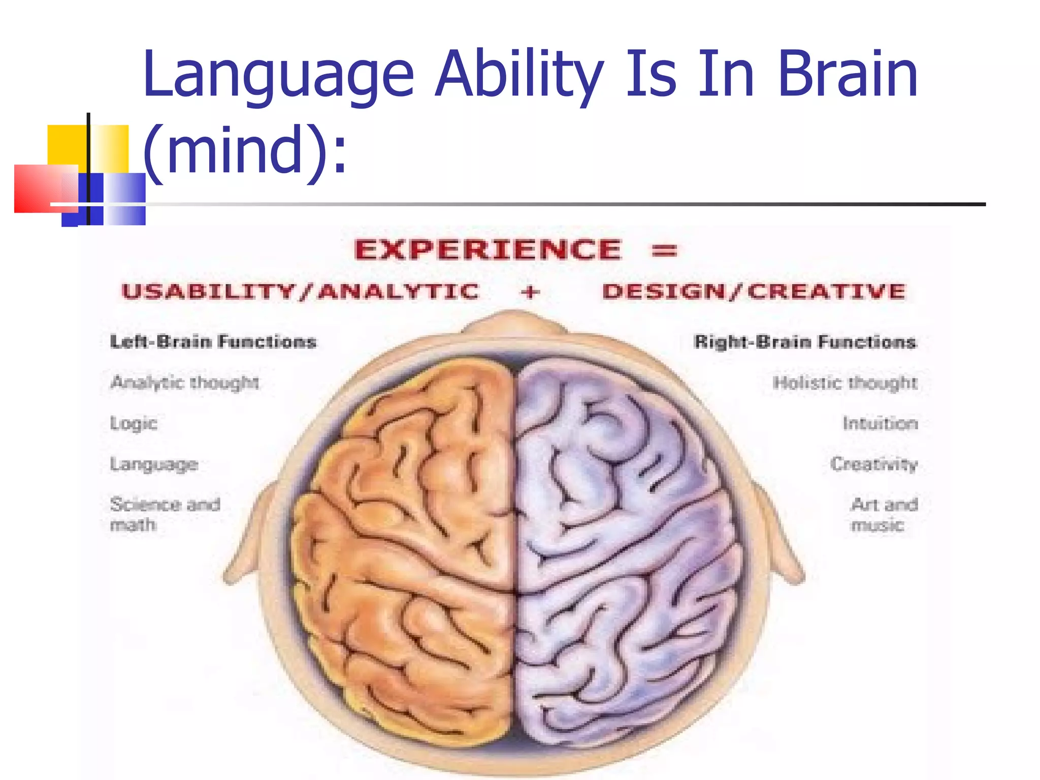 Language Ability Is In Brain (mind): 