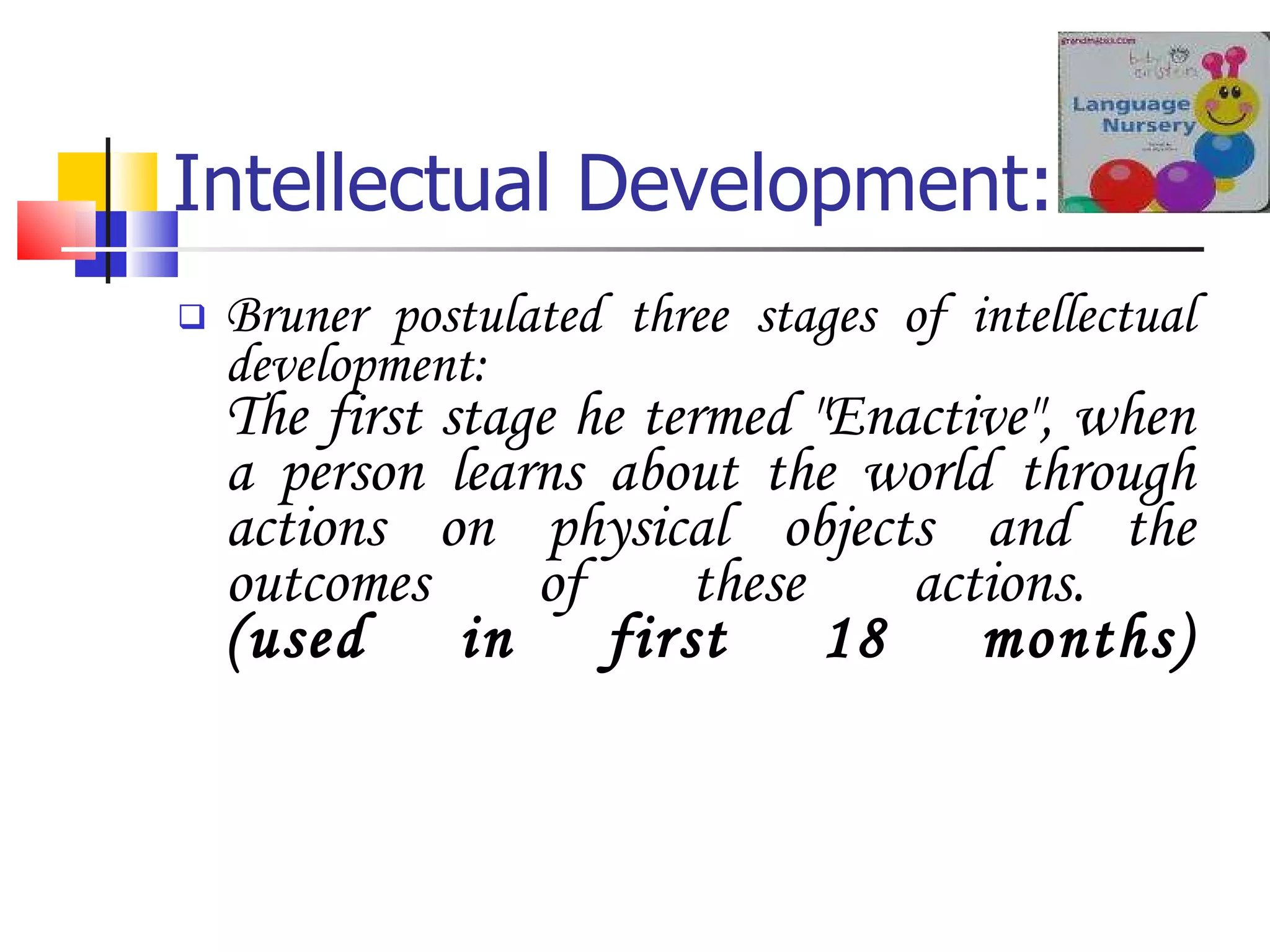 Intellectual Development: Bruner postulated three stages of intellectual development: The first stage he termed "Enactive", when a person learns about the world through actions on physical objects and the outcomes of these actions.  (used in first 18 months) 