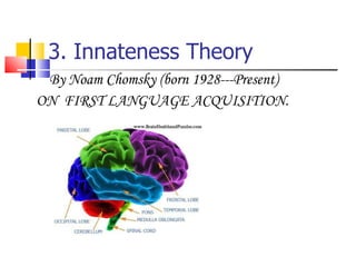 3. Innateness Theory By Noam Chomsky (born 1928---Present) ON  FIRST LANGUAGE ACQUISITION. 