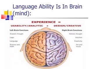 Language Ability Is In Brain (mind): 