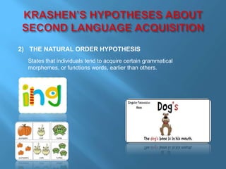 2) THE NATURAL ORDER HYPOTHESIS 
States that individuals tend to acquire certain grammatical 
morphemes, or functions words, earlier than others. 
 