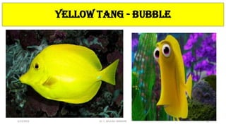 YELLOW TANG - BUBBLE
3/23/2022 Dr. C. BEULAH JAYARANI 58
 