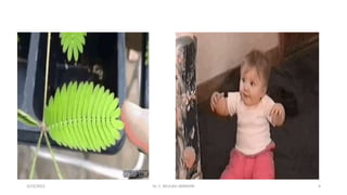 3/23/2022 Dr. C. BEULAH JAYARANI 6
 