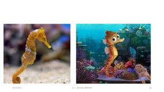 3/23/2022 Dr. C. BEULAH JAYARANI 63
 