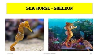 SEA HORSE - SHELDON
3/23/2022 Dr. C. BEULAH JAYARANI 64
 