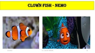 CLOWN FISH - NEMO
3/23/2022 Dr. C. BEULAH JAYARANI 66
 