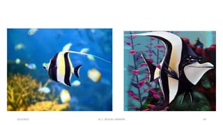 3/23/2022 Dr. C. BEULAH JAYARANI 69
 