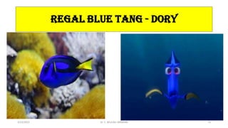 REGAL BLUE TANG - DORY
3/23/2022 Dr. C. BEULAH JAYARANI 72
 
