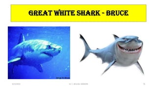 GREAT WHITE SHARK - BRUCE
3/23/2022 Dr. C. BEULAH JAYARANI 76
 